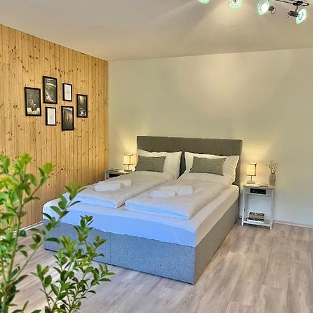 Апартаменты An Wanderwegen Gelegen Mit Terrasse Und Boxspringbett Засбахвальден Экстерьер фото
