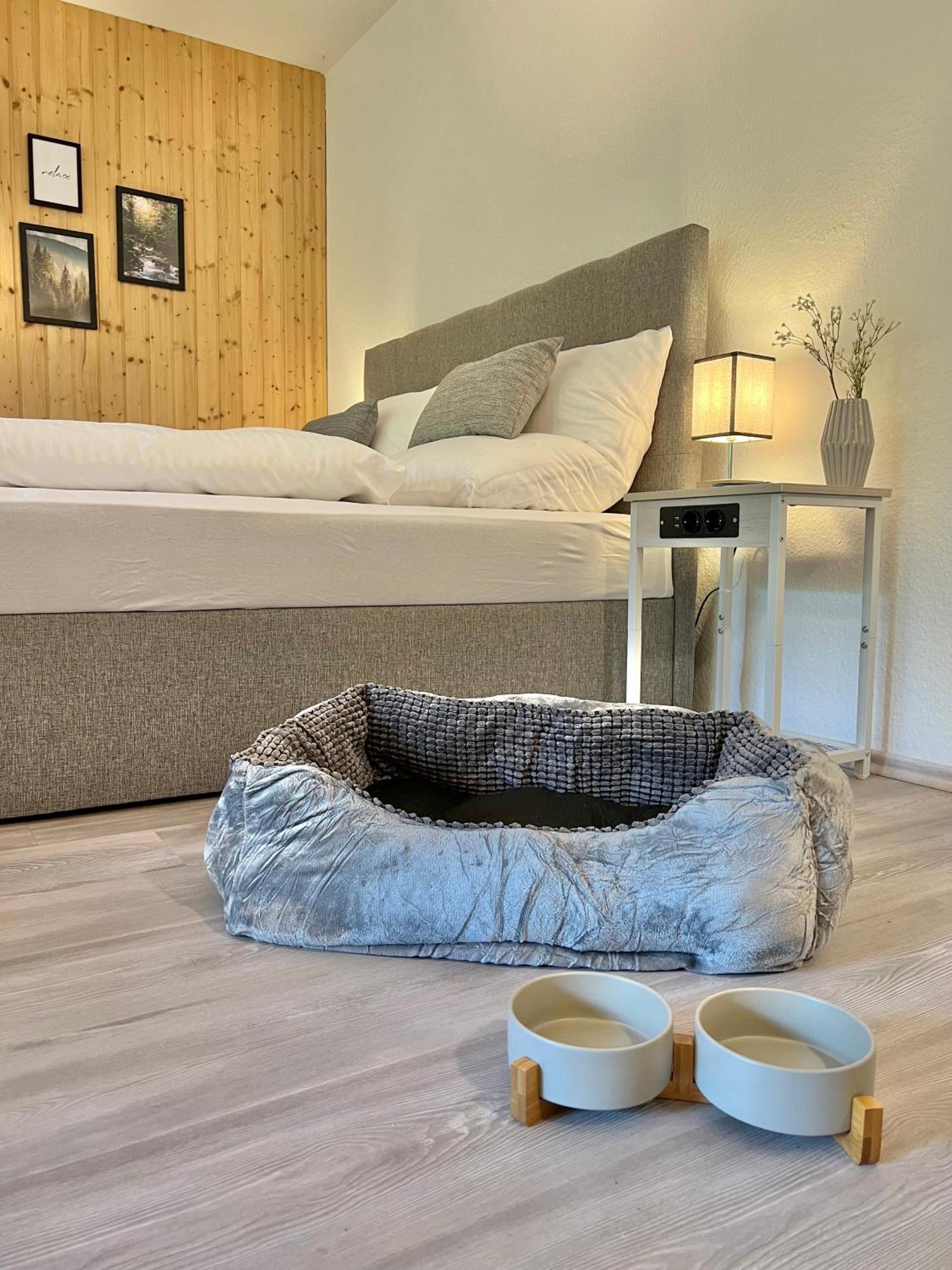 Апартаменты An Wanderwegen Gelegen Mit Terrasse Und Boxspringbett Засбахвальден Экстерьер фото